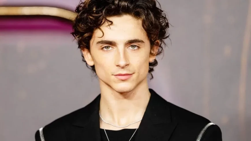 Timothée Chalamet in High Side, il nuovo thriller sul motocross di James Mangold