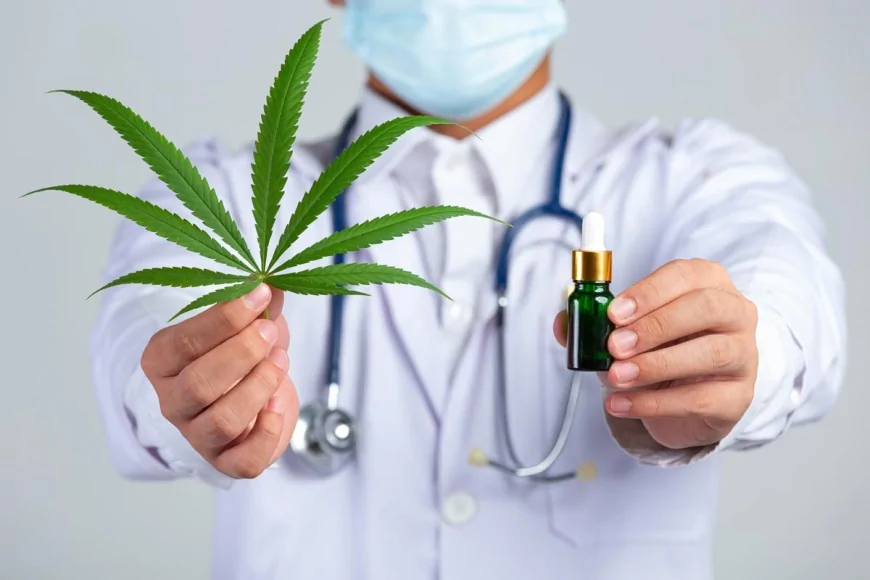 Cannabis terapeutica in Italia: 100mila prescrizioni in 5 anni