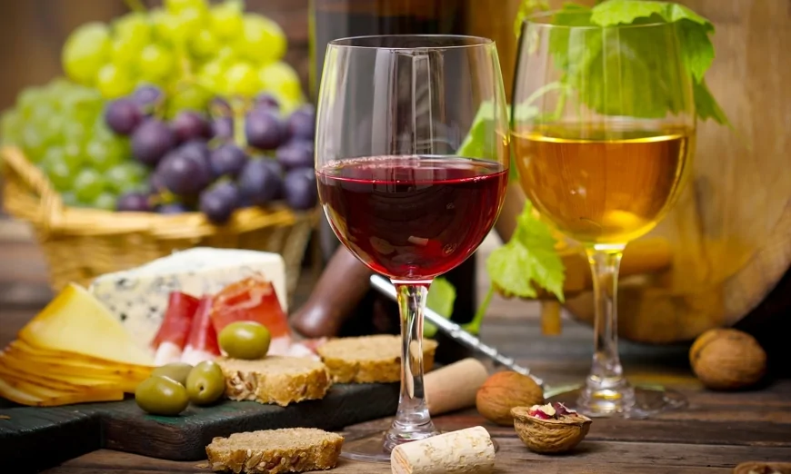 Viaggio alla scoperta del vino in Calabria: tra storia e sapori