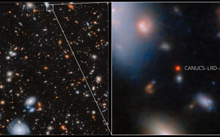 Il telescopio Webb scopre un affamato buco nero supermassiccio in rapida crescita nell’universo primordiale