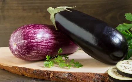 Melanzana: uno studio internazionale ne svela geni e caratteri completi