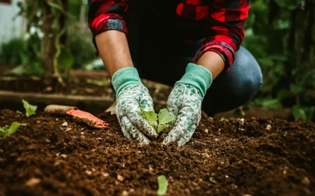 Milano avvia la nuova stagione di piantumazioni: in città previste circa 20mila nuove specie tra alberi e arbusti