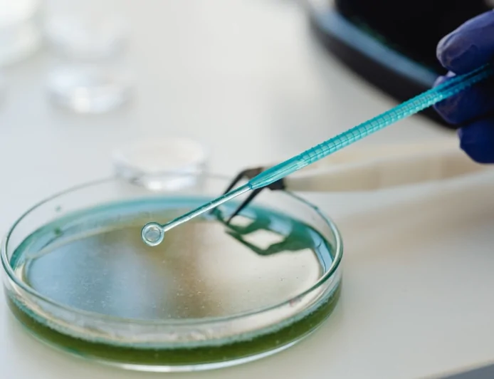 Le Fondazioni Telethon e Cariplo finanziano due progetti all'Università di Padova. Ghiandola ipofisaria, ormoni e malattia di Huntington