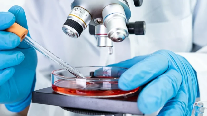 Ospedale Bambino Gesù: confermato il legame tra la ‘malattia del bacio’ e la sclerosi multipla nei bambini