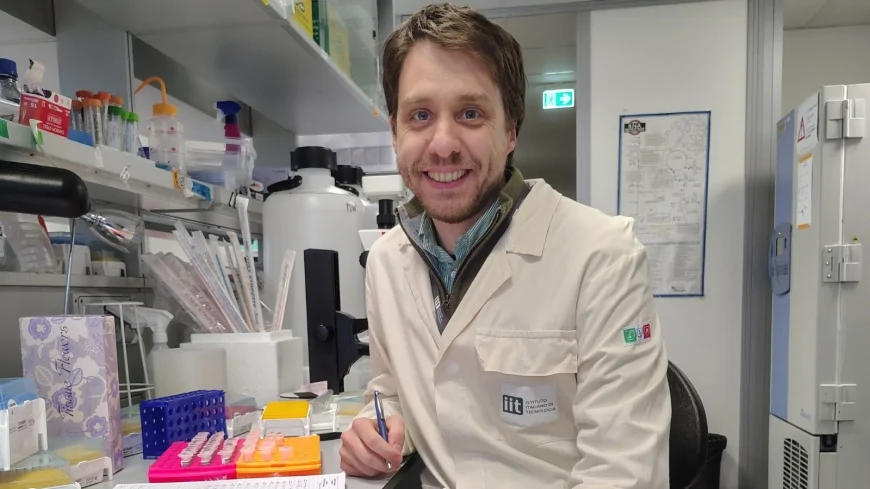 Istituto Italiano di Tecnologia: METTL9, la proteina tuttofare fondamentale per lo sviluppo dei neuroni