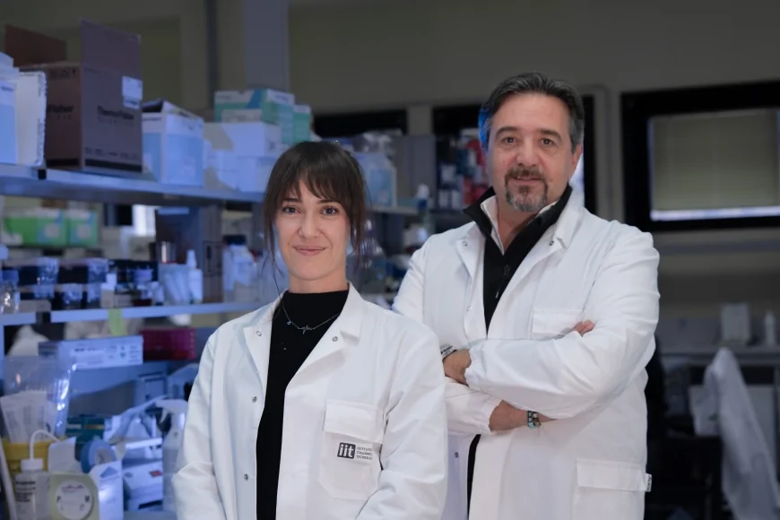 Nuove speranze contro il tumore al cervello: il cocktail genetico progettato dai ricercatori dell’Istituto Italiano di Tecnologia per indebolire il glioblastoma