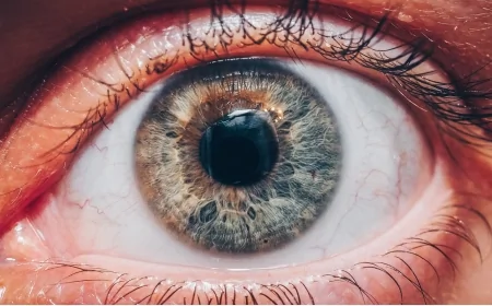 Retinite pigmentosa: un farmaco noto apre nuove prospettive  per rallentare la degenerazione dei coni della retina e la perdita della vista indotte dalla patologia