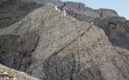 Migliaia di orme di dinosauri scoperte nel Parco Nazionale dello Stelvio