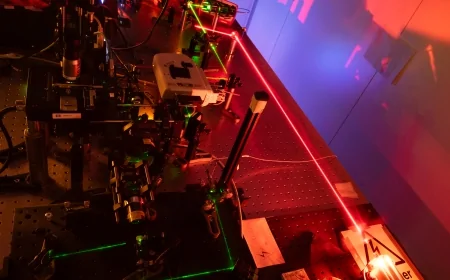 Una nuova tecnica di microscopia osserva le cellule senza alterarne la natura