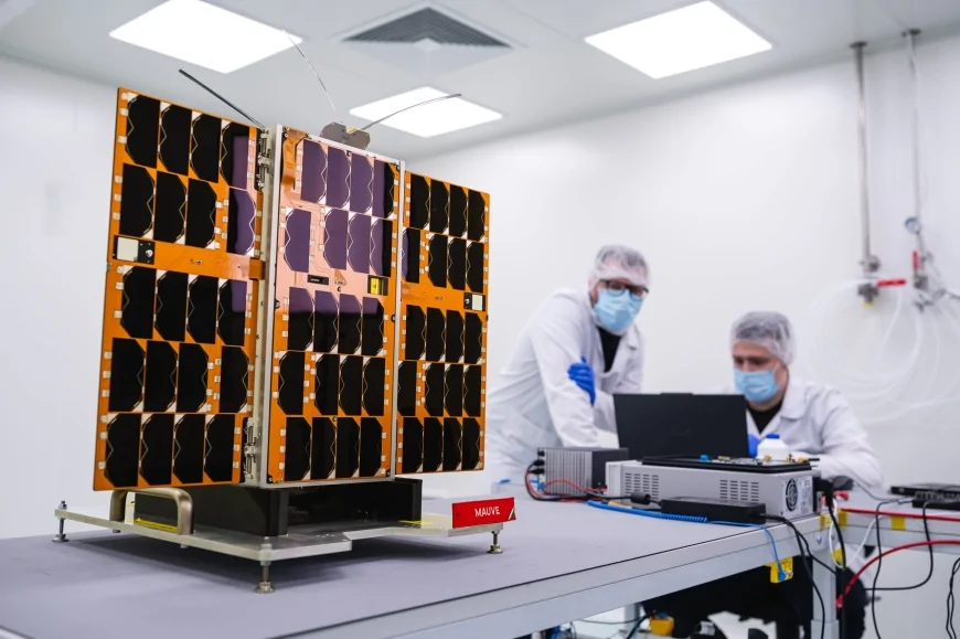 A caccia di stelle esotiche e binarie con Mauve