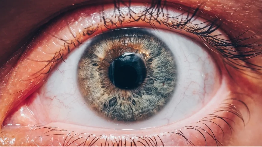 Retinite pigmentosa: un farmaco noto apre nuove prospettive  per rallentare la degenerazione dei coni della retina e la perdita della vista indotte dalla patologia