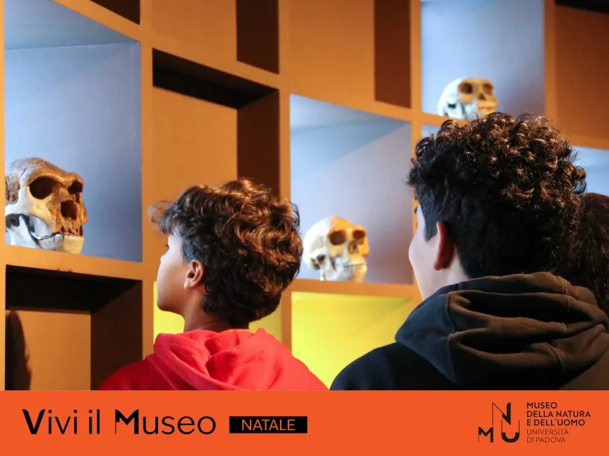 Palazzi, arte e musei: il Natale all’Università di Padova