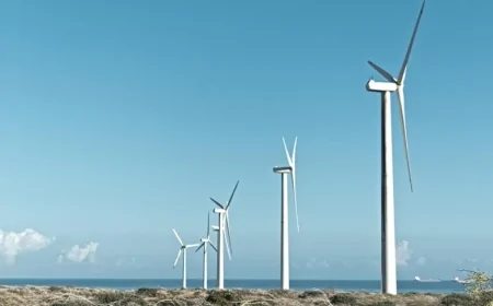 Energia: firmato l'accordo per uno studio indipendente sui benefici socio-economici dell’eolico offshore in Italia