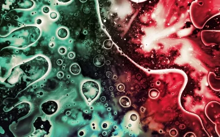 Un batterio intestinale alleato del fegato e della salute metabolica