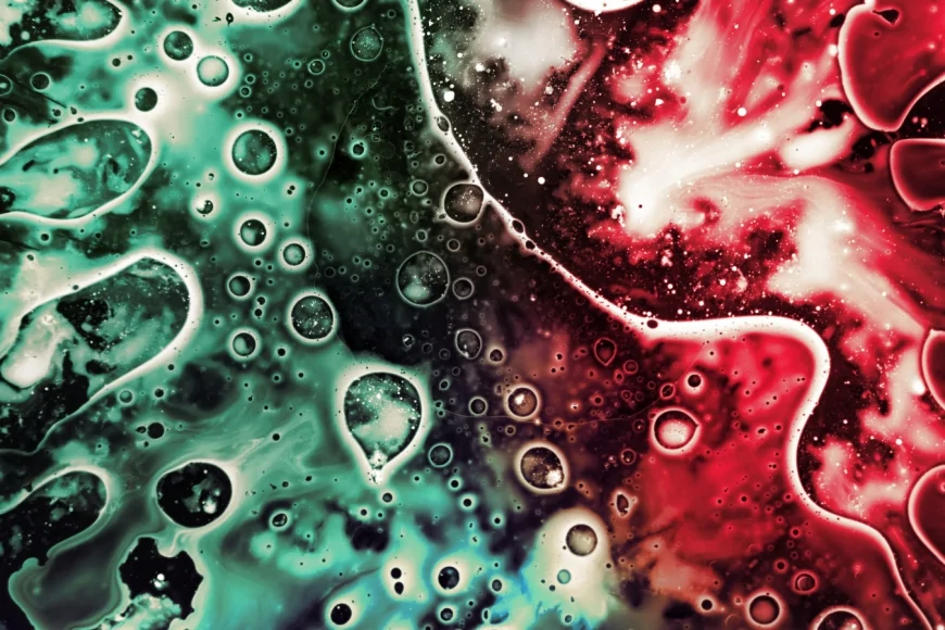 Un batterio intestinale alleato del fegato e della salute metabolica