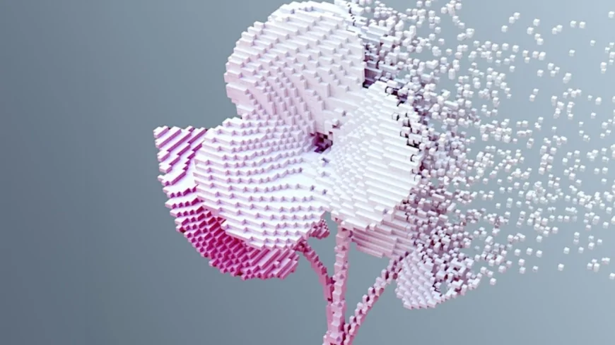 Contro la violenza nasce la Carta di Padova 2026