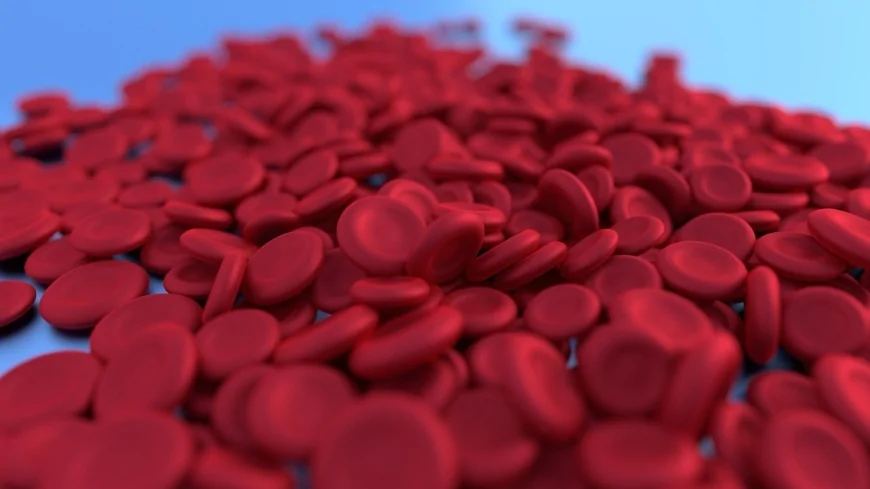 Demenza frontetemporale: ripristinando una proteina chiave nel cervello è possibile migliorare i sintomi