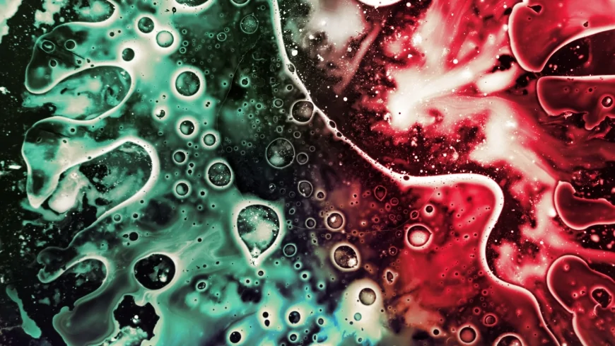 Un batterio intestinale alleato del fegato e della salute metabolica