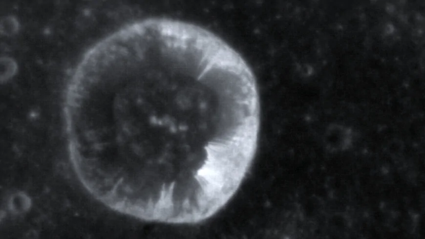 Mercurio: un'analisi delle sue formazioni geologiche mette in discussione la sua immagine di pianeta geologicamente "morto”