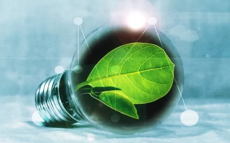 Torino: inaugurato il 30 gennaio il Centro di Competenza SEASTAR