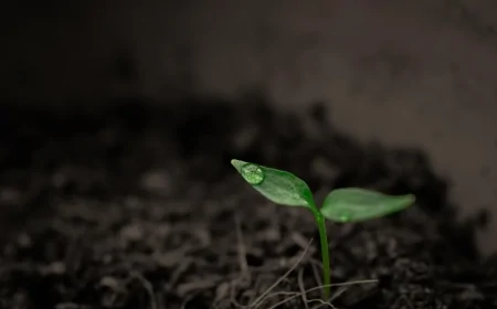 Nucleare: da Enea, nuovi combustibili per ridurre i rifiuti