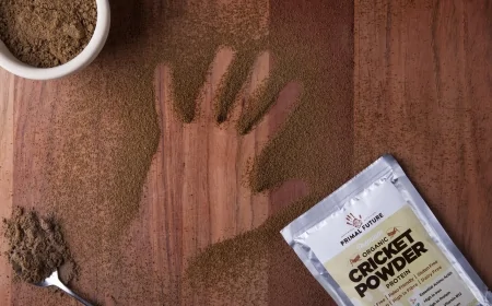 Il progetto europeo PROTEIN4IMPACT: coinvolta anche ENEA nella realizzazione di Nuovi Alimenti Proteici (NPF)