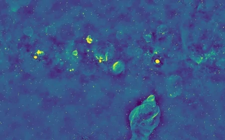 Radioastronomia: realizzata la più grande mappa radio del cielo con il programma LOFAR