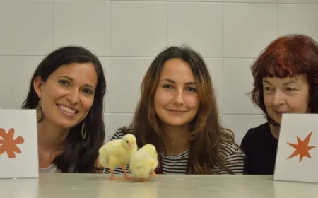 Università di Padova: uno studio rivela che anche i pulcini formano associazioni tra suoni e forme