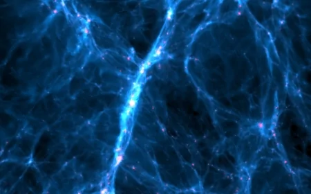 Astrofisica: individuate nuove tracce di un campo magnetico primordiale nei vuoti tra le galassie
