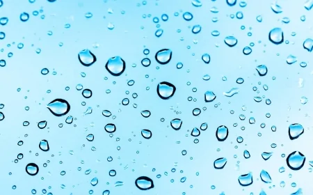 Politecnico di Torino: lo studio su una nuova tecnologia per la dissalazione basata su un idrogel ricavato da alghe brune