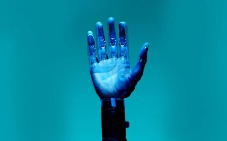 L'Unione Europea promuove l'innovazione e la cooperazione internazionale durante il Summit sull'IA in India