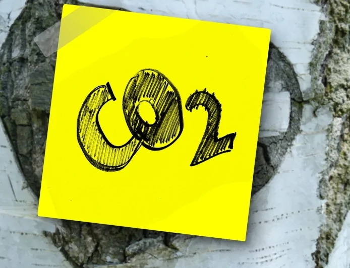 La Commissione Europea istituisce il primo standard volontario per gli assorbimenti permanenti di carbonio