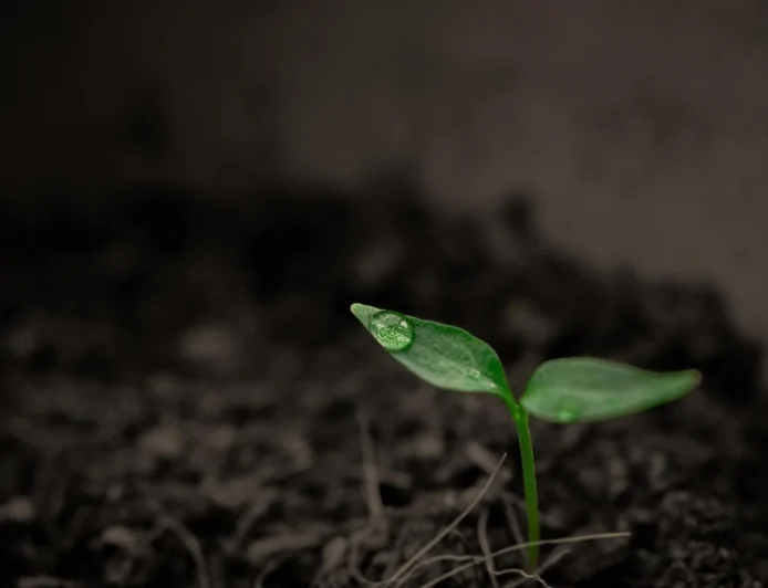 Nucleare: da Enea, nuovi combustibili per ridurre i rifiuti