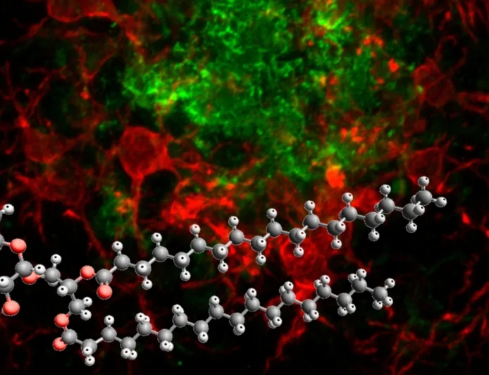 Alzheimer: una nuova strategia di lotta alla malattia con una piccola molecola “smart”