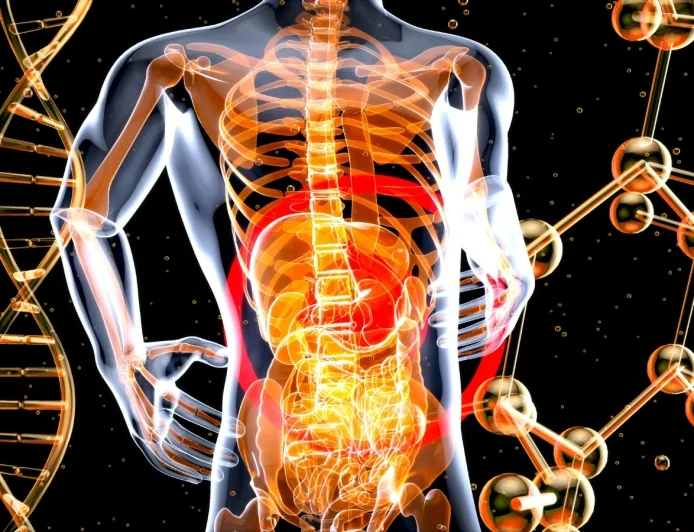 A Bari due giorni dedicati alle malattie autoimmuni del fegato