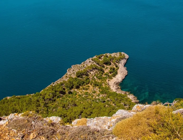 Ambiente: il cambiamento climatico ridefinisce la vita sui fondali del Mediterraneo mettendo a rischio centinaia di specie