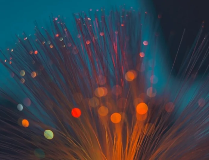 Ambiente: l'accordo tra INGV e FiberCop per l'utilizzo della fibra ottica come strumento per il monitoraggio sismico e vulcanico