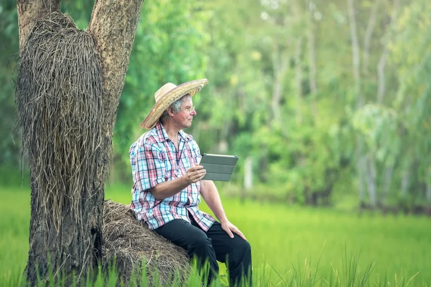 Il progetto ENEA DRG4FOOD: migliorare l'efficienza e la sostenibilità agroalimentare tramite l'utilizzo di dati