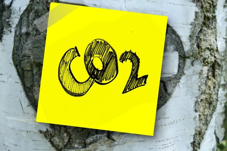 La Commissione Europea istituisce il primo standard volontario per gli assorbimenti permanenti di carbonio