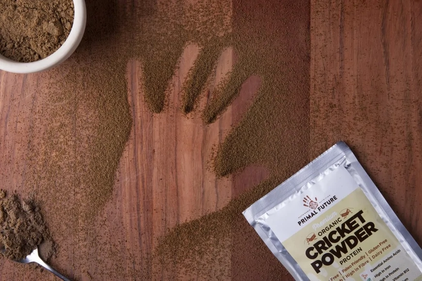 Il progetto europeo PROTEIN4IMPACT: coinvolta anche ENEA nella realizzazione di Nuovi Alimenti Proteici (NPF)