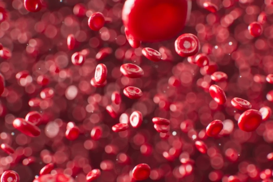 Malaria: scoperta una variante genetica in grado di ostacolare la crescita del parassita