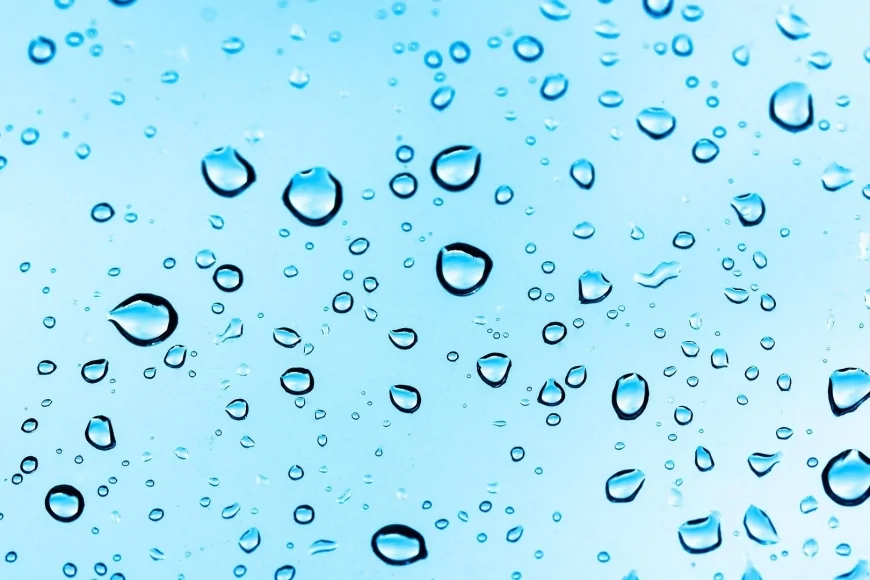 Politecnico di Torino: lo studio su una nuova tecnologia per la dissalazione basata su un idrogel ricavato da alghe brune