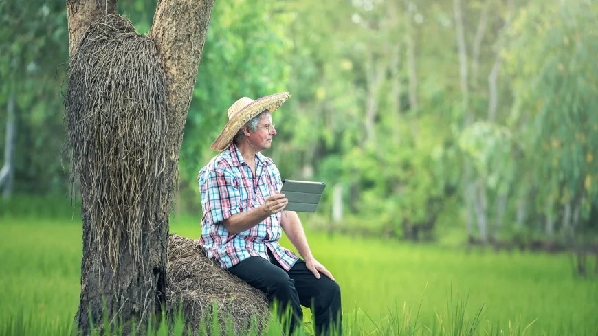 Il progetto ENEA DRG4FOOD: migliorare l'efficienza e la sostenibilità agroalimentare tramite l'utilizzo di dati