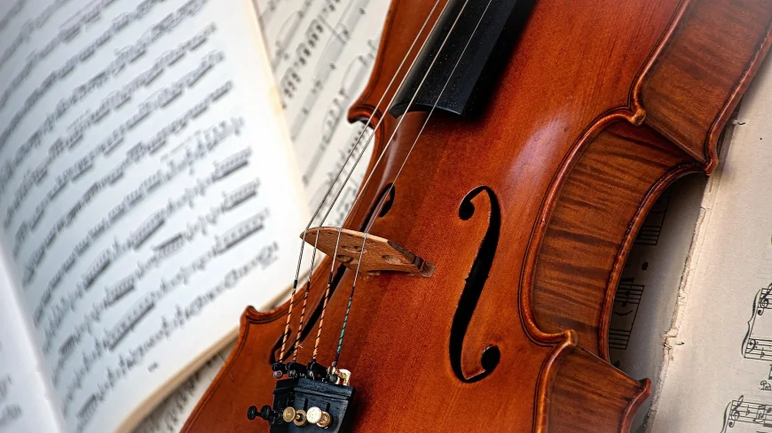 Stradivari: violini straordinari grazie agli abeti delle Alpi