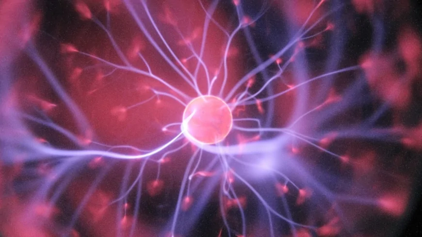 Nucleare: l'accordo di collaborazione tra newcleo e il consorzio europeo EAGLES