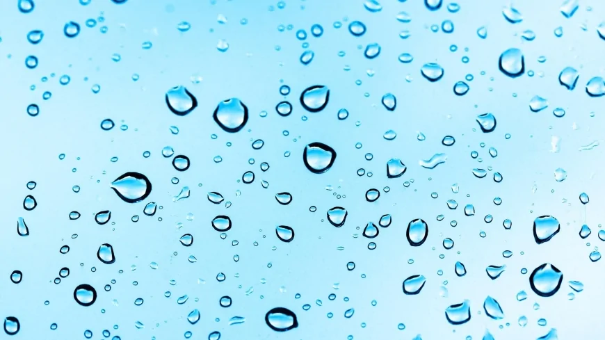 Politecnico di Torino: lo studio su una nuova tecnologia per la dissalazione basata su un idrogel ricavato da alghe brune