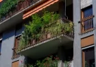 Comune di Milano: approvati dalla Giunta gli Indirizzi per la tutela del verde nel Municipio 8