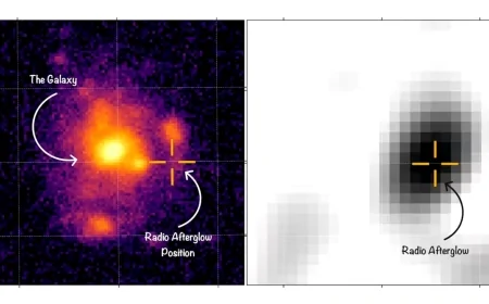 Astrofisica: una sorgente radio passata inosservata potrebbe rivelare il bagliore residuo di un potente lampo di raggi gamma