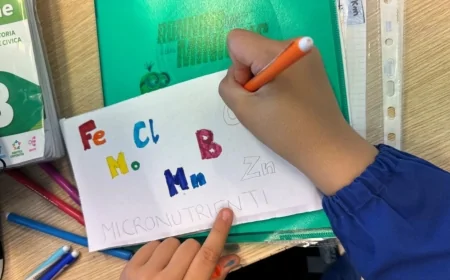 La scienza diventa gioco: laboratori per i più piccoli alla Fondazione Santa Capitanio di Piove di Sacco