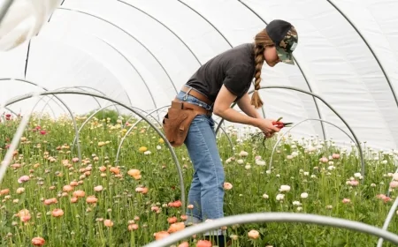 La Commissione Europea lancia una piattaforma per rafforzare il ruolo delle donne in agricoltura